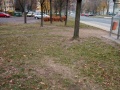 Hrabání listí ulice Červenohradecká