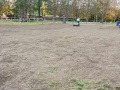 Úprava travnaté plochy Olejomlýnského parku