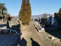 Prořezávky tújí hřbitov Jirkov